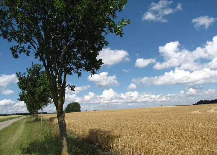 Pongratz Comfortable Jurgenshof